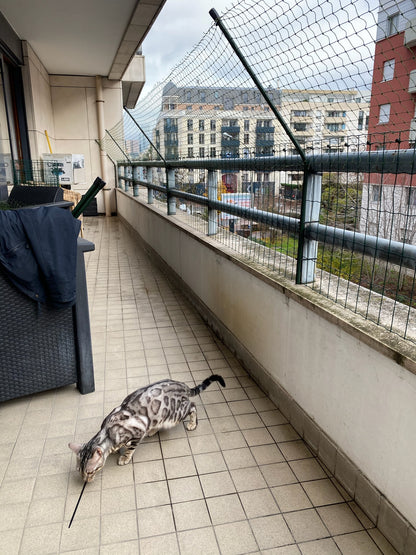 Bavolet anti-fugue installés sur balcon