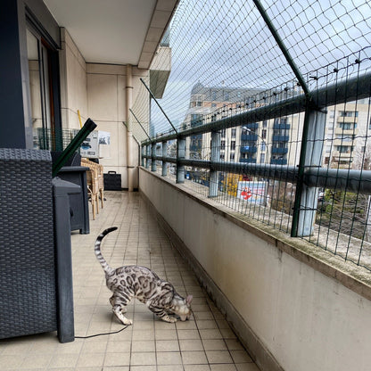 Chat sur balcon avec filet et bavolet