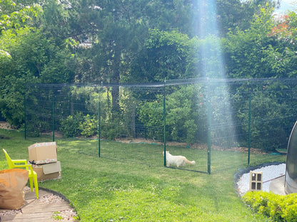 Chat blanc dans cage de protection jardin