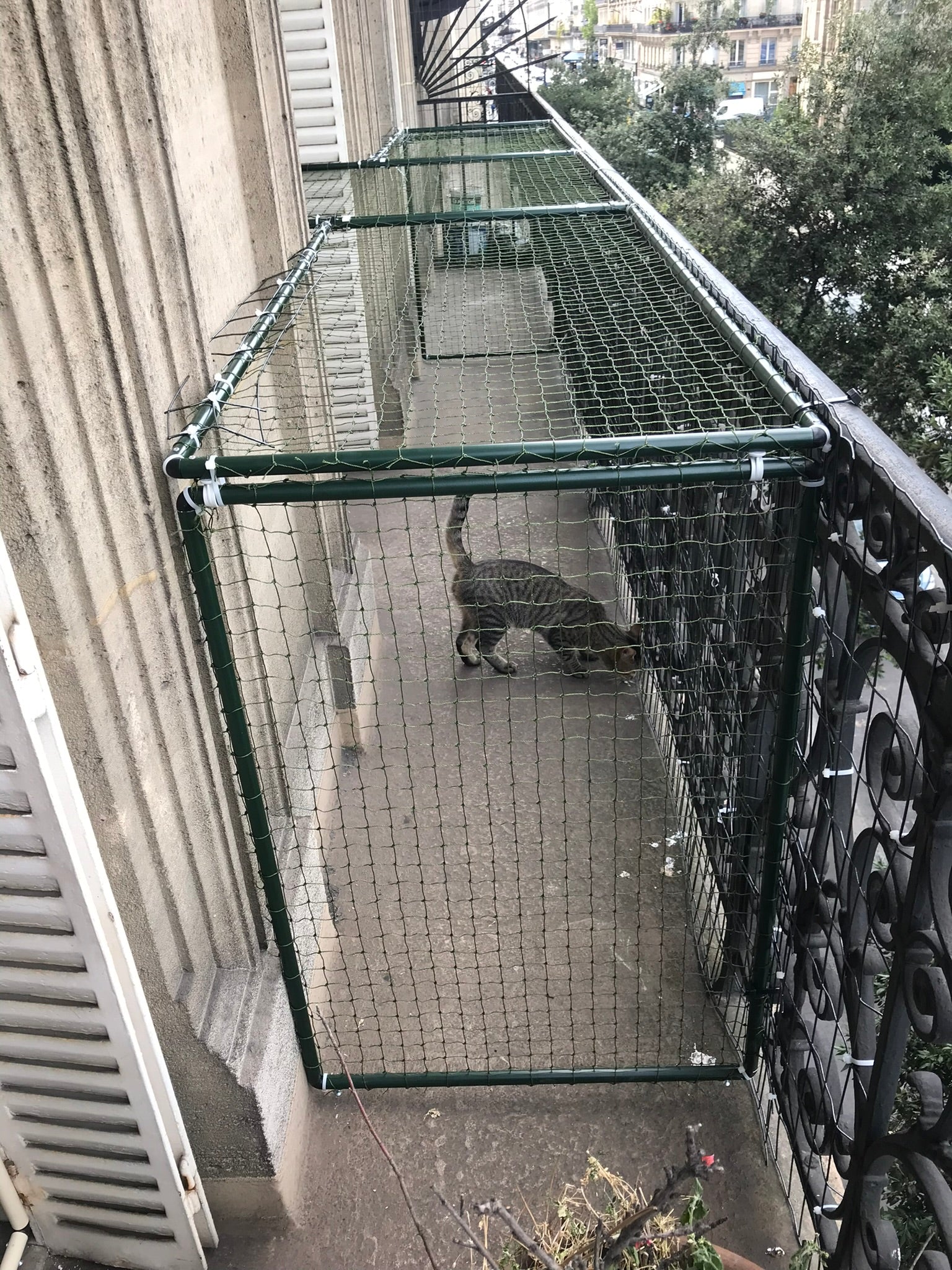 Cage protection chat balcon