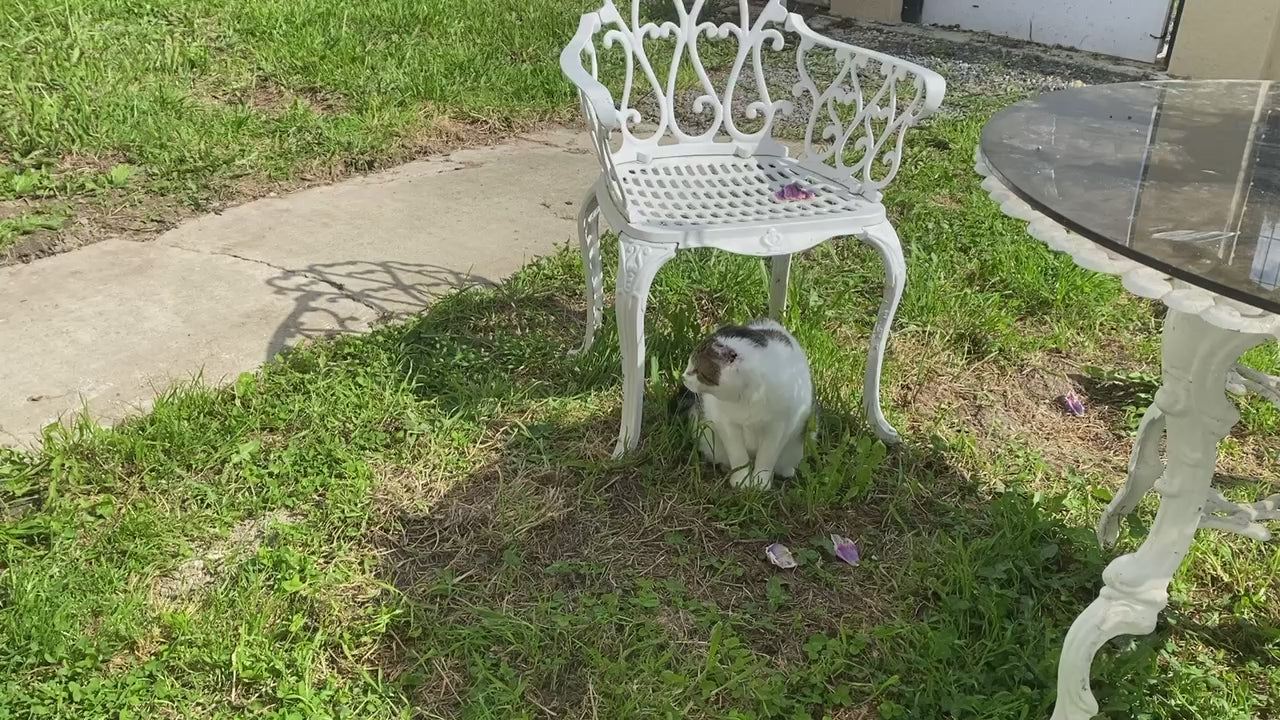 Video laden: Filet aérien au dessus de jardin